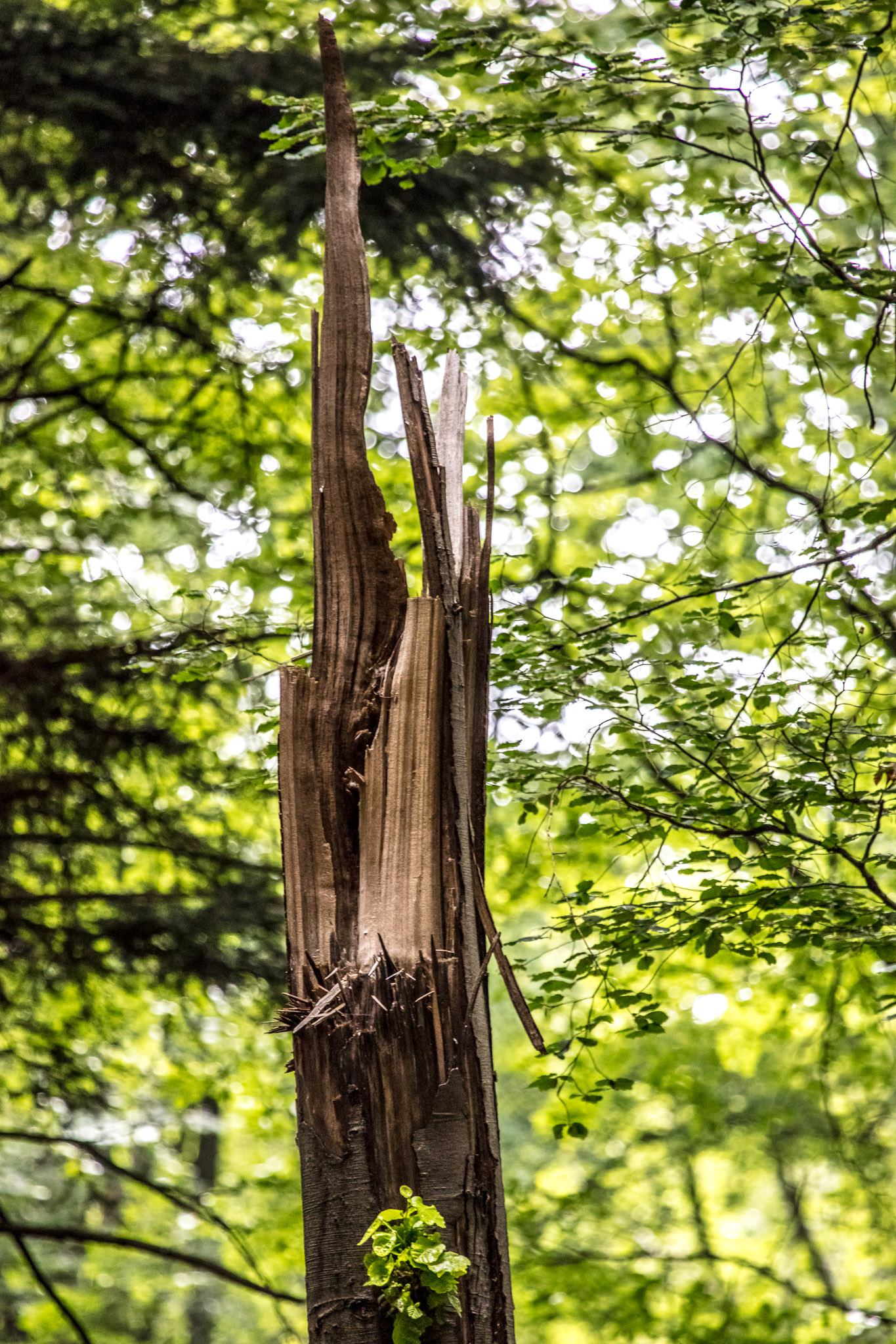 20210725102410 017911